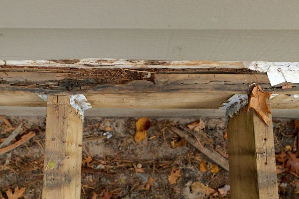 San Francisco Wood Rot Repair