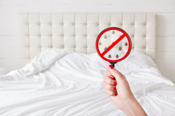 San Francisco Pest Control Service